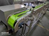 modular-chain-conveyor-IMG 20191211 084825 small w