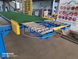 wide-belt-conveyor-IMG 20190827 111804 small w